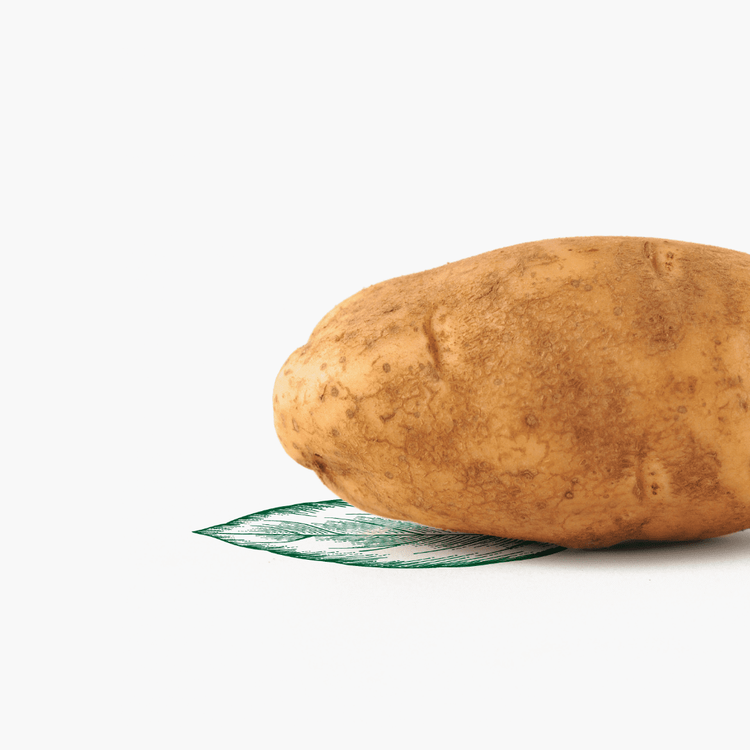 Potato with Illustration